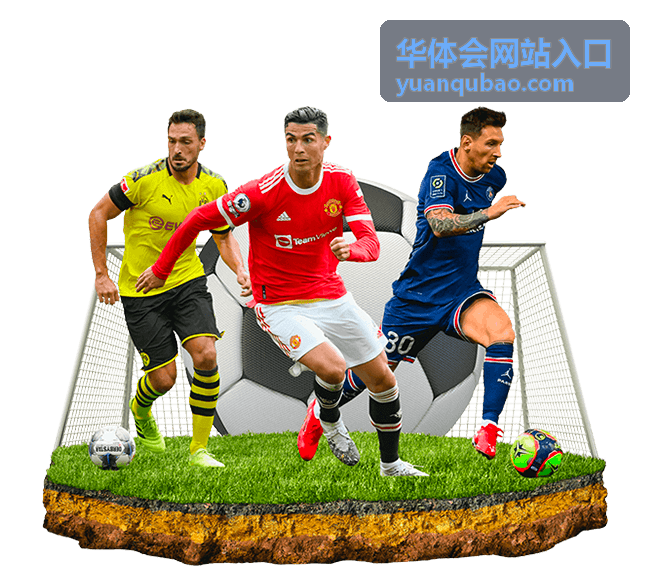 华体会网站入口任务式回馈类型封面